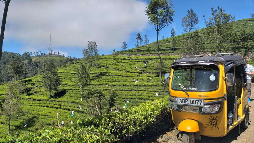 Haputale:Glorious Tuk Tuk Ride to Lipton'sSeat & Tea Factory - Tea Tasting: What You Should Pay Attention To