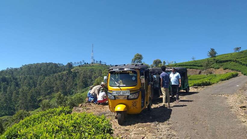 Haputale:Glorious Tuk Tuk Ride to Lipton'sSeat & Tea Factory - Who This Tour Fits Best