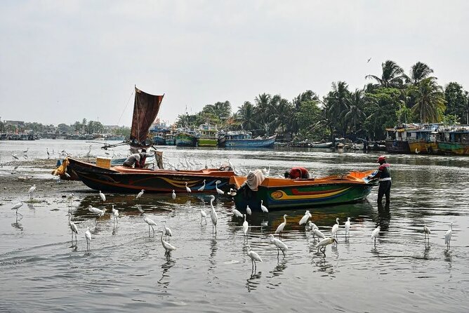 Heritage & Cultural Walk in Negombo - Pickup, Transport, and Getting There Without Stress
