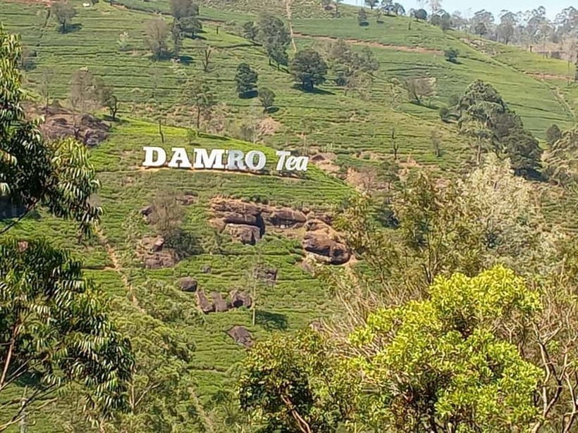 High-Grown Tea & Waterfall Wonders of Nuwara Eliya by tuktuk - Puna Ella Falls (Ramboda): Short Stop, Safety Briefing, Quick Break