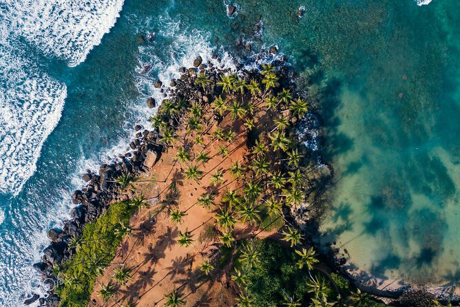 Highlights of Sri Lanka 8 Days Private Tour - What You’re Really Paying For on a Private 8 Days Route