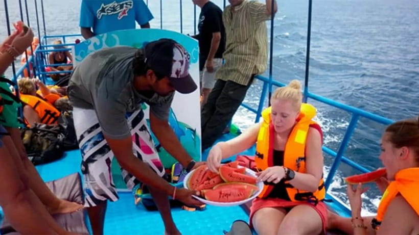 Hikkaduwa/Galle/Ahangama: Whale Watching Tour in Mirissa - Key things to know before you go