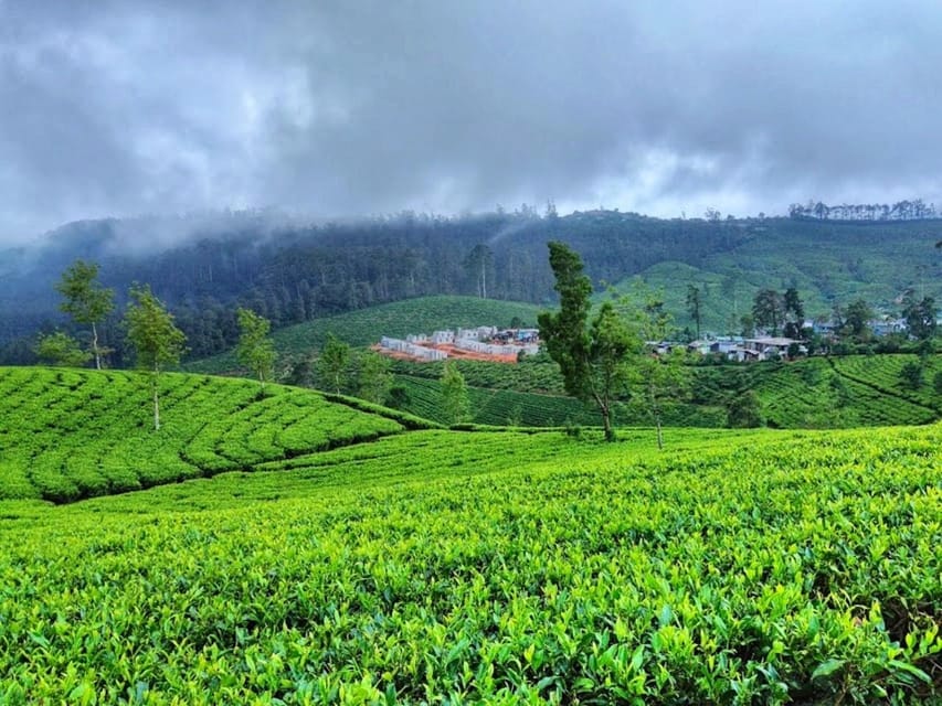 Horton plains: Discover real essence of central highland - Price and value: what $72 per group up to 3 really buys
