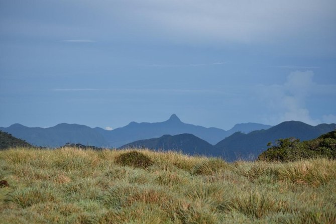 Horton Plains National Park Entrance Ticket with Guide - What you get for $120 and when it feels like good value