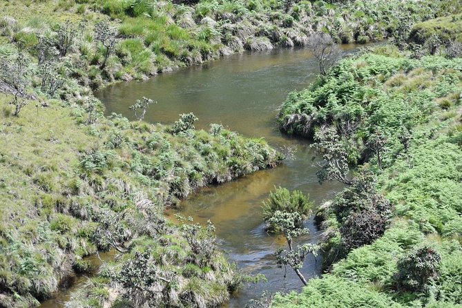 Horton Plains National Park Entrance Ticket with Guide - Practical planning: what to pack and how to avoid the common headaches