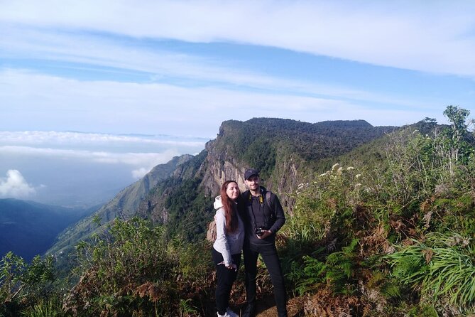 Horton Plains-World's End Tour and Tea Factory Tour From Nuwaraeliya - Damro Labookellie Tea Centre: factory process and tea garden views