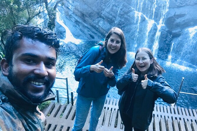 Horton Plains-World's End Tour and Tea Factory Tour From Nuwaraeliya - Price and logistics: what your $50 covers and what it doesn’t