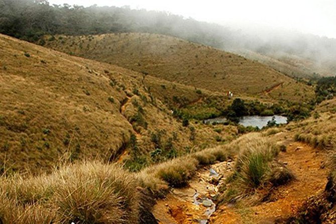 Horton Plains-World's End Tour From Nuwaraeliya - 5 things that make this Horton Plains World’s End tour worth your money