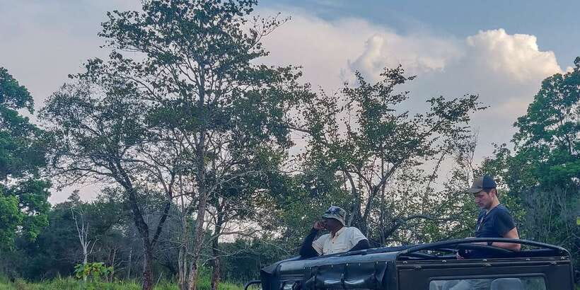 Hurulu Eco Park: 3-Hour Morning or Evening Safari - Why Hurulu Eco Park fits the elephant-migration timetable
