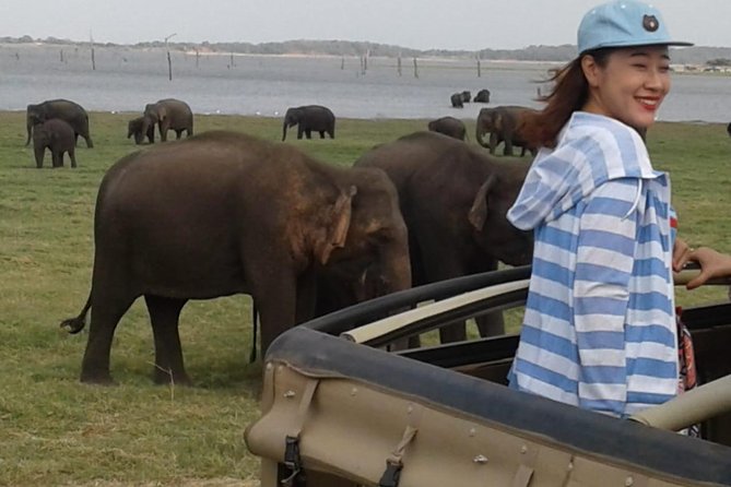 Hurulu eco park jeep safari - Elephant Focus: How to Maximize Your Chances