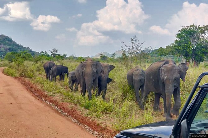 Hurulu Eco Park Private Safari - Hurulu Eco Park: a real forest reserve (not a staged show)