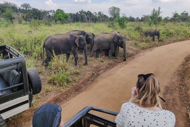 Hurulu Eco Park Private Safari from Sigiriya - Your start and finish in Sigiriya: a quick UNESCO-style taste
