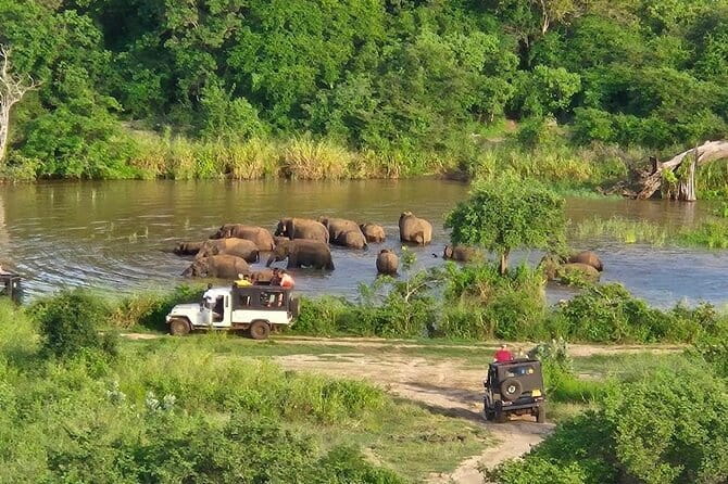 Hurulu Eco Park Safari Adventure - Hurulu Eco Park in a Nutshell: Jeep Only, Wildlife Up Close