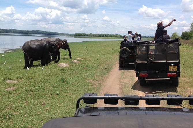 Hurulu Eco Park Safari Adventure - The Jeep Experience and Photo Tips in Rain or Sun