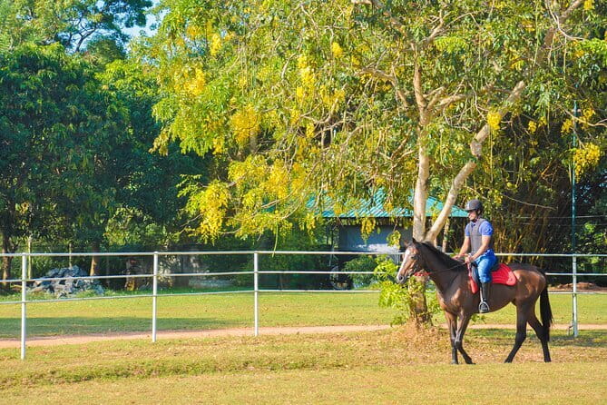 Hurulu Eco Park Safari Adventure - Group Size, Comfort, and Toddler Policy