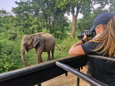 4-Day Sri Lanka Full Circle Private Tour To Colombo
