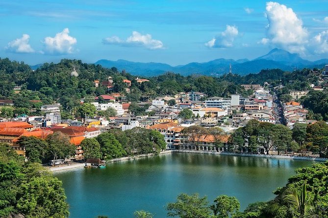 Kandy and Pinnawala Private Day Tour from Colombo/Negombo - Peradeniya Botanical Gardens and Kandy Viewpoint: From Green to Glance