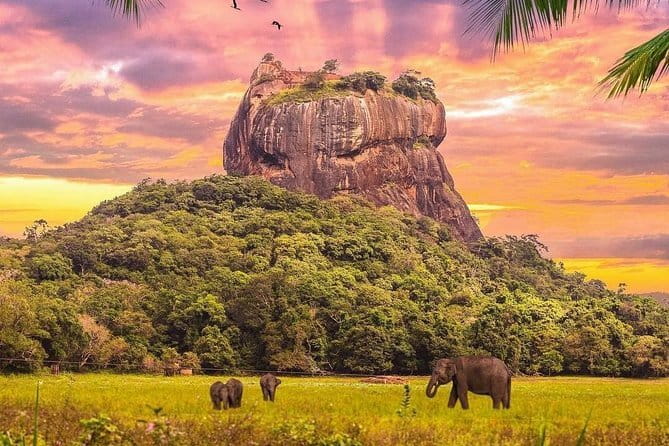Kandy City Day Tour - Practical tips so the packed day feels comfortable