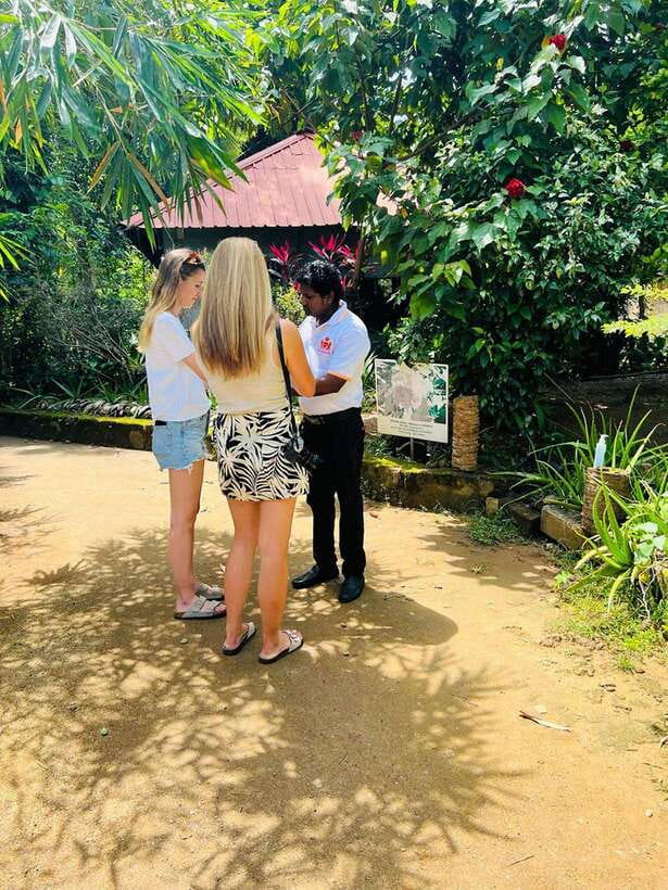Kandy City Day Tour from Colombo, Negombo or Katunayake - Giragama Tea Factory: Watch Tea Being Made, Then Taste It