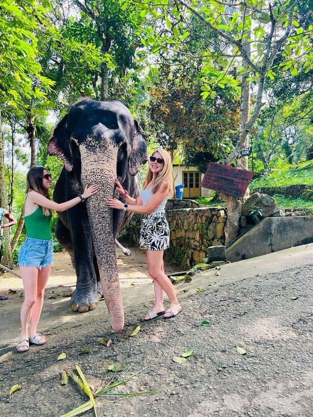 Kandy City Day Tour from Colombo, Negombo or Katunayake - Bahirawakanda Temple Big Buddha: Best Views, Quiet Feel
