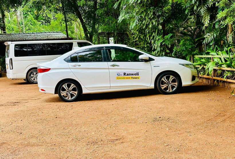 Kandy City Day Tour from Colombo, Negombo or Katunayake - Pickup Options and Why a 1-Day Route Can Still Feel Comfortable