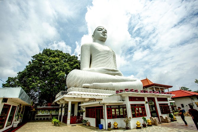 Kandy City Day Tour with a verified tour guide - Kandy viewpoints and the Buddha statue: plan for the light