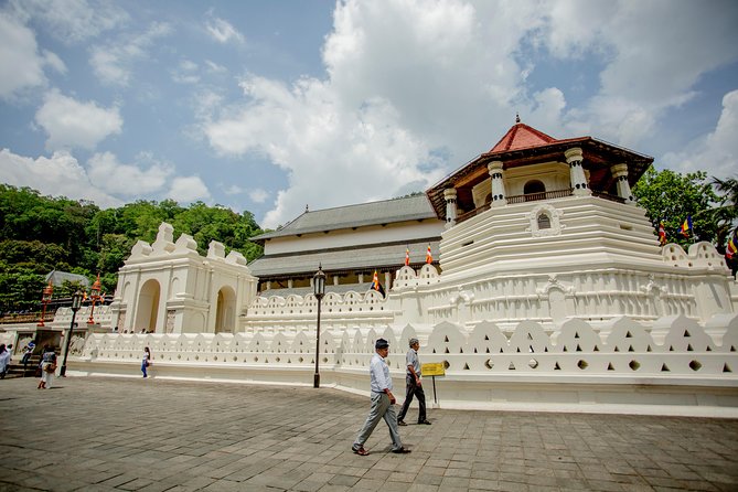 Kandy City Day Tour with a verified tour guide - Ceylon Tea Museum: a smart, low-effort learning stop