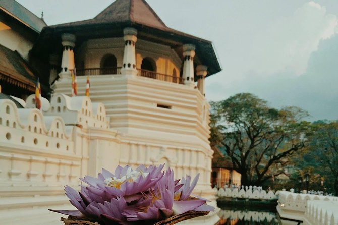 Kandy City guide Tour and day trip private luxury car and van - Royal Botanical Gardens (Peradeniya) in One Hour