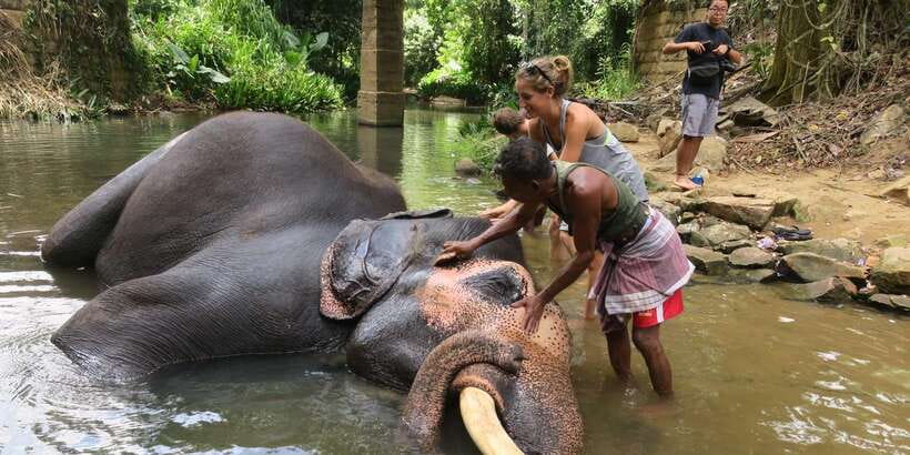 Kandy: City Highlights and Ramboda Waterfall Trip - Key highlights worth your time