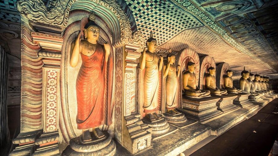 Kandy: City Highlights and Ramboda Waterfall Trip - Ceylon Tea Factory: where the tea story gets real