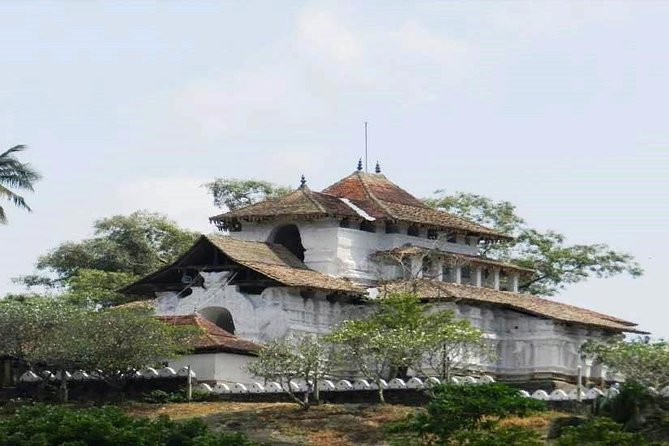 Kandy City Tour - Royal Botanical Gardens and Hanthana tea views: a smarter break from crowds