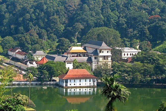 Kandy City Tour by Lux Tours Lanka - Udawattakele Forest Reserve: A Quick Hit of Old Sanctuary Nature