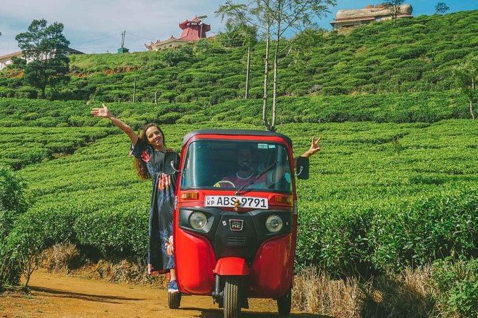 Kandy City Tour by Tuk Tuk - Bahirawakanda and the Kandy viewpoint: the hilltop and the evening view
