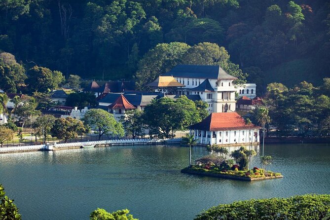 Kandy City Tour from Colombo - Peradeniya Royal Botanical Gardens: The Plant-Geek Paradise