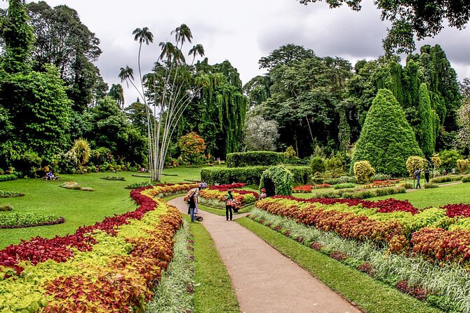 Kandy City Tour from Colombo - Kandy City Center Time: Market Browsing and Kandy Lake Stroll