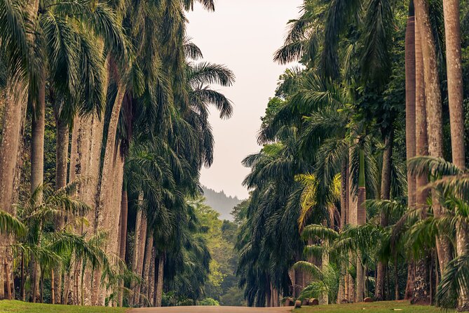 Kandy City Tour from Colombo - Price and Value: What $100 Really Buys You
