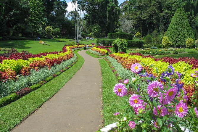 Kandy City Tour from Colombo - Who This Tour Fits Best