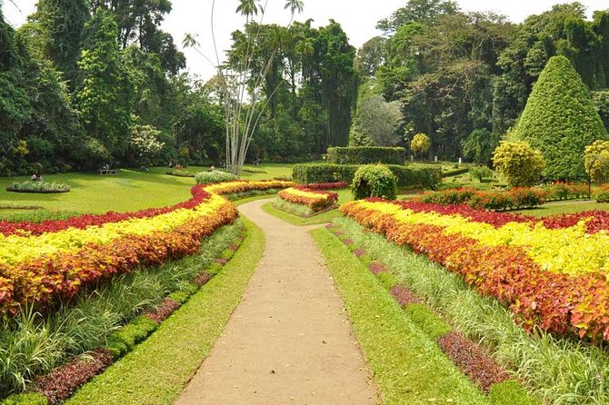 Kandy City Tour with Mahaweli - Ceylon Tea Museum, learning the tea-making story