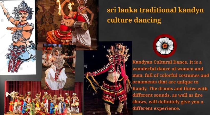 Kandy: City Tour with Temple of the Tooth & Tea Garden - Price and Value, With One Important Reality Check