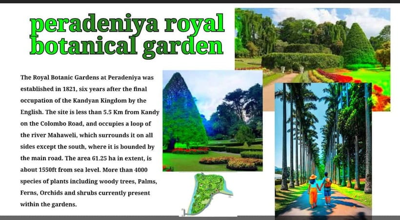Kandy: City Tour with Temple of the Tooth & Tea Garden - British-Era Botanical Garden Time You Can Actually Use
