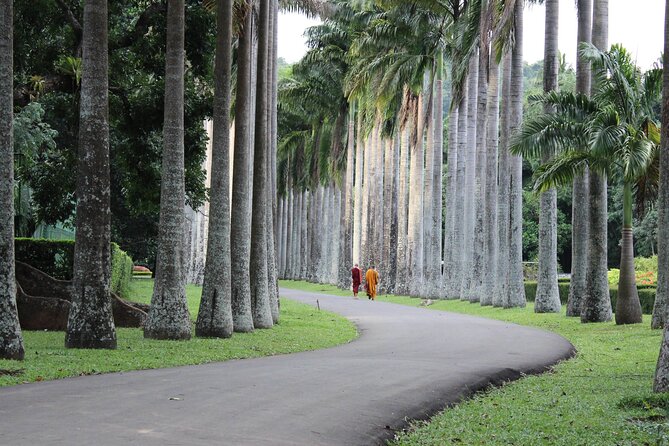 Kandy Day Tour - Royal Botanical Gardens Peradeniya: a long walk that earns its time