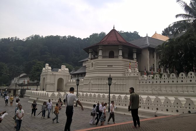 Kandy Day Tour From Colombo - Ayurvedic Head Massage: A Small Break With Local Flavor