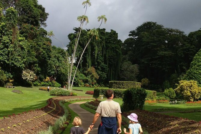 Kandy Day Tour From Colombo - Kandy city time: where the market energy meets your questions