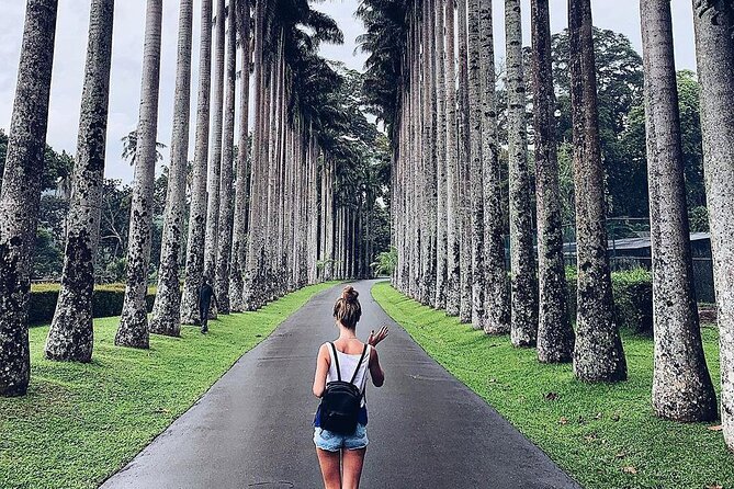 Kandy Day Tour From Colombo - Guide quality: why it can make or break your day