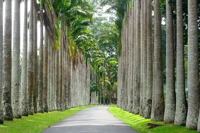 Kandy Day trip from Kalutara Beruwala Bentota Aluthgama Wadduwa - The Kandy Viewpoint and “Time Permitting” Stops