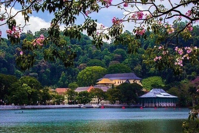 Kandy Day trip from Kalutara Beruwala Bentota Aluthgama Wadduwa - Temple of the Sacred Tooth Relic: The Spiritual Anchor of the Day