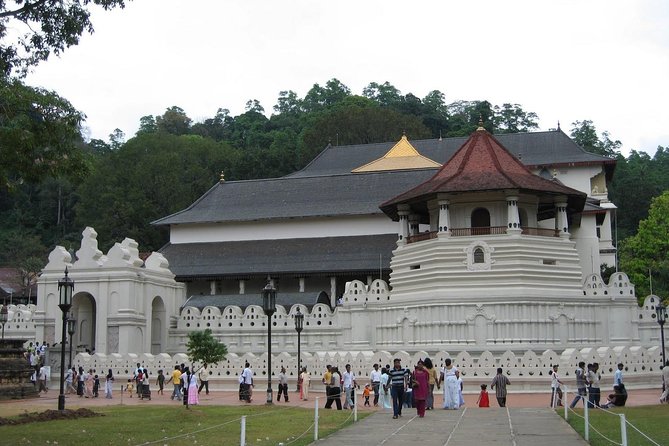 Kandy Day Trip with Tooth Relic Temple & Unique Attractions - Kadugannawa tea factory: tasting your way through the process