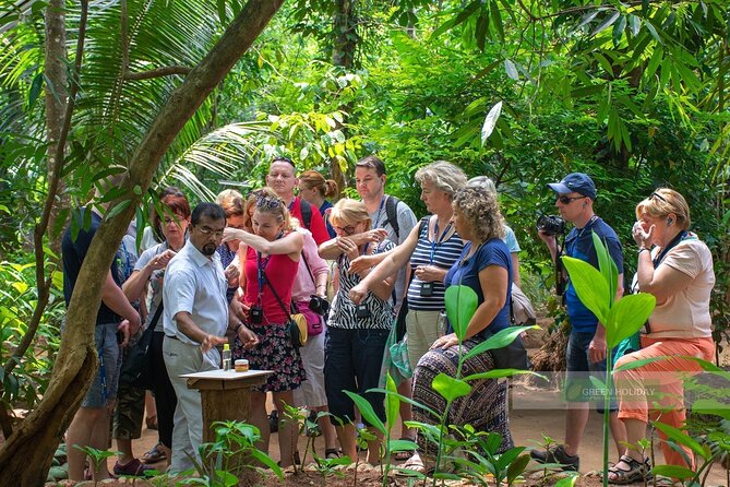 Kandy Day Trip with Tooth Relic Temple & Unique Attractions - Price and value: what you’re really paying for