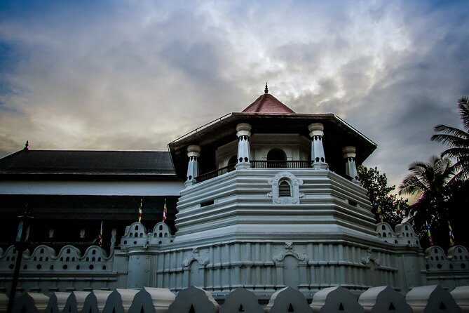 Kandy Full-Day Tour - Kandyan Art Association and Rooftop Lunch in Kandy