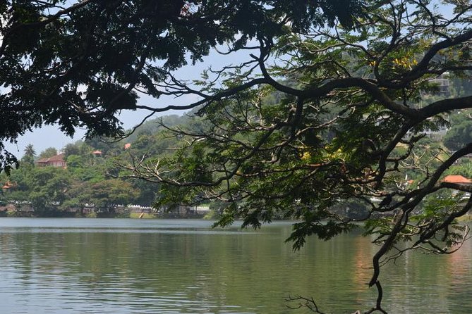 Kandy Full-Day Tour - Kadugannawa Tea Factory and Estate: Real Tea Country Time